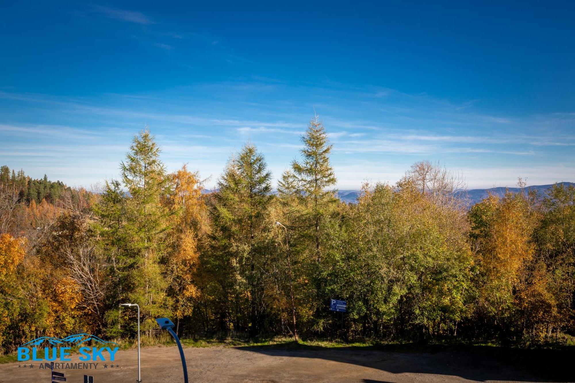Apartamenty Bluesky - Karkonoska 13, Z Widokiem Na Gory, Blisko Szlakow I Wyciagow, W Zielonej Okolicy Карпач Стая снимка